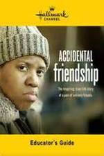 Watch Accidental Friendship Sflix