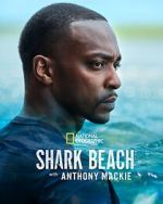 Watch Shark Beach with Anthony Mackie Sflix