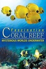 Watch Fascination Coral Reef: Mysterious Worlds Underwater Sflix