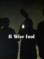Watch A Wise Fool Sflix