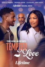Watch Terry McMillan Presents: Tempted 2 Love Sflix