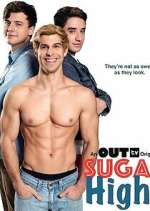 Watch Sugar Highs Sflix