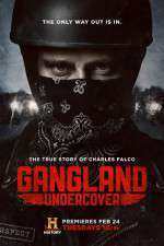 Watch Gangland Undercover Sflix