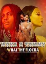 Watch Waka & Tammy: What the Flocka Sflix