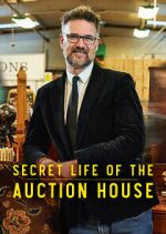 Watch Secret Life of the Auction House Sflix