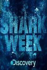 Watch Shark Week Sflix