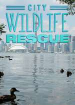 Watch City Wildlife Rescue Sflix