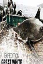 Watch Expedition Great White Sflix