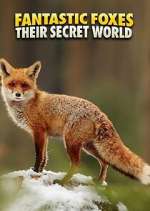 Watch Fantastic Foxes: Their Secret World Sflix