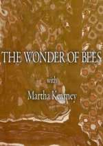 Watch The Wonder of Bees with Martha Kearney Sflix