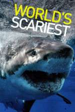 Watch World's Scariest... Sflix