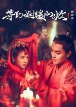 Watch Buried City to Shut All Lights Sflix