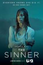 Watch The Sinner Sflix