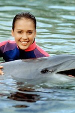 flipper (the new adventures of flipper) tv poster