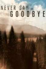 Watch Never Say Goodbye Sflix