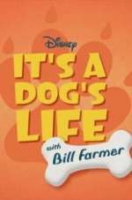 Watch It\'s a Dog\'s Life with Bill Farmer Sflix