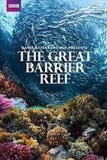 Watch Great Barrier Reef with David Attenborough Sflix