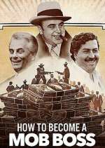 Watch How to Become a Mob Boss Sflix