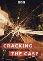 Watch Cracking the Case Sflix