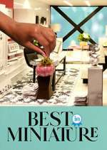 Watch Best in Miniature Sflix