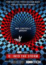 Watch Q: Into the Storm Sflix