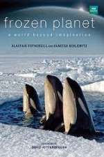 Watch Frozen Planet Sflix