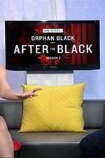 Watch Innerspace: After the Black Sflix