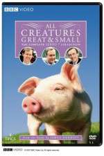 Watch All Creatures Great and Small Sflix