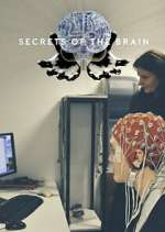 Watch Secrets of the Brain Sflix