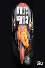 Watch National Geographic Worlds weirdest Sflix