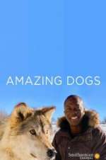 Watch Amazing Dogs Sflix