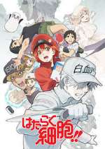 Watch Cells at Work! Sflix