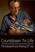 Watch Countdown to Life The Extraordinary Making of You Sflix