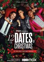 Watch 12 Dates of Christmas Sflix