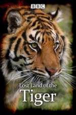 Watch Lost Land of the Tiger Sflix