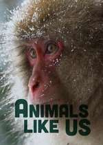Watch Animals Like Us Sflix