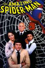 Watch The Amazing Spider-Man Sflix