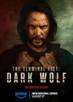 Watch The Terminal List: Dark Wolf Sflix