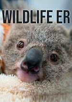 Watch Wildlife ER Sflix