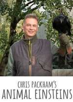 Watch Chris Packham's Animal Einsteins Sflix
