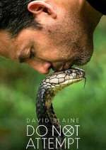 Watch David Blaine Do Not Attempt Sflix