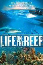Watch Life on the Reef Sflix