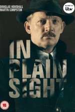 Watch In Plain Sight Sflix