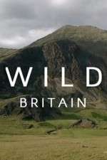 Watch Wild Britain Sflix