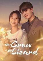 Watch Miss Crow with Mr. Lizard Sflix