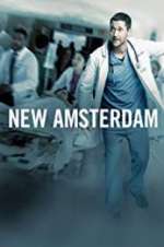 Watch New Amsterdam Sflix