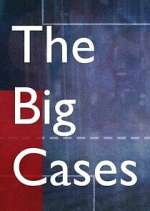 Watch The Big Cases Sflix