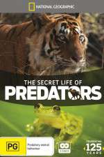 Watch Secret Life of Predators Sflix