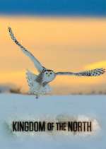 Watch Kingdom of the North Sflix