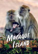 Watch Macaque Island Sflix